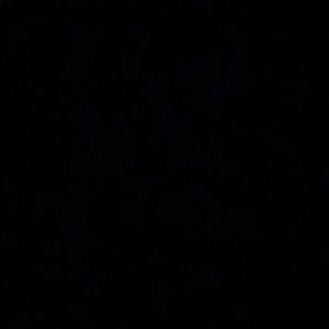 Meet your Posher, Talia